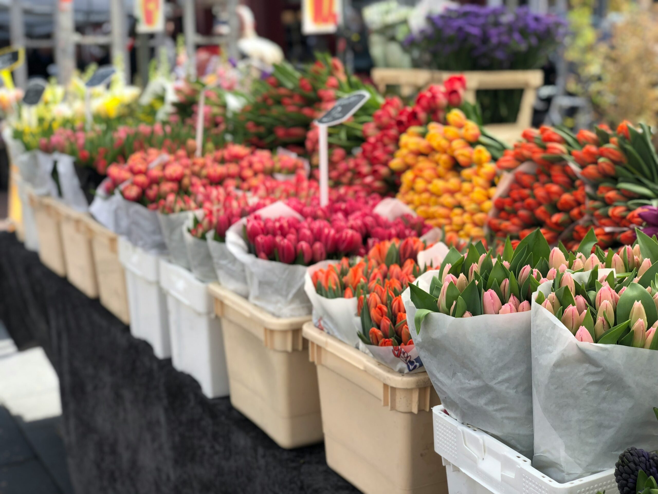 Sélection de fleurs fraîches de saison chez votre fleuriste à Montélimar
